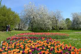 BritzerGarten_3
